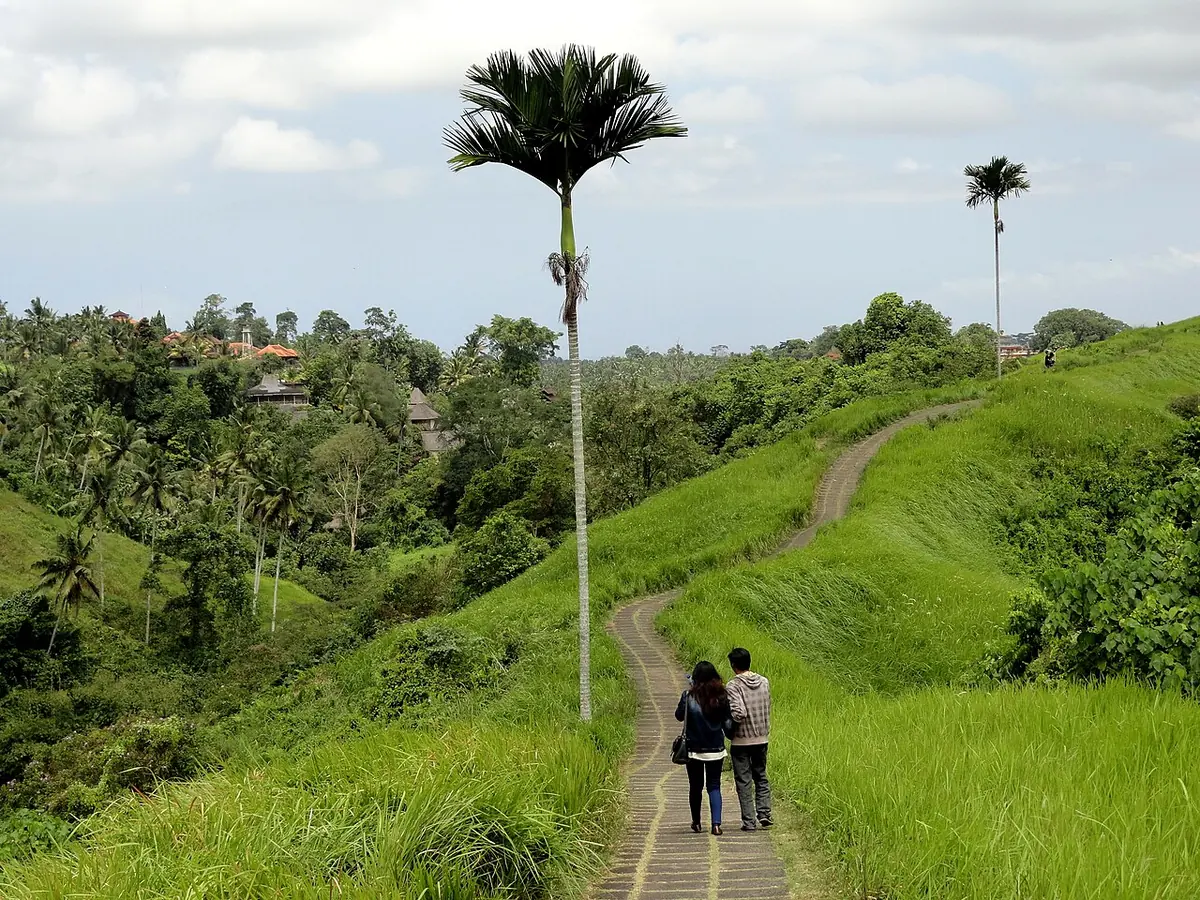 De Campuhan Ridge Walk door het groene landschap bij Ubud — Campuhan Ridge Walk bij Ubud